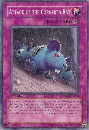 Attack of the Cornered Rat [1st Edition] RGBT-EN075