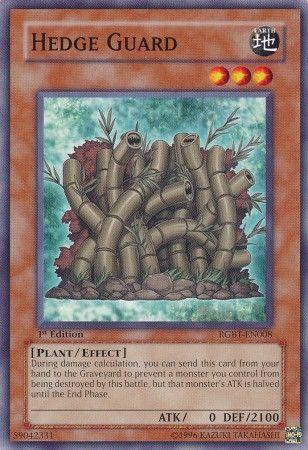 Hedge Guard [1st Edition] RGBT-EN008