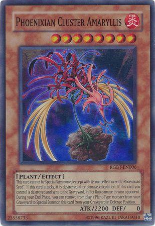 Phoenixian Cluster Amaryllis RGBT-EN006