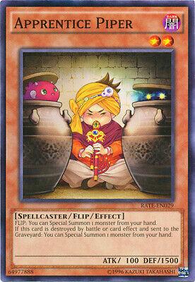 Apprentice Piper RATE-EN029