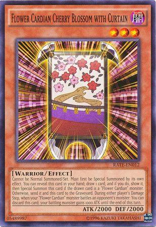 Flower Cardian Cherry Blossom with Curtain RATE-EN012