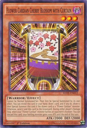 Flower Cardian Cherry Blossom with Curtain [1st Edition] RATE-EN012