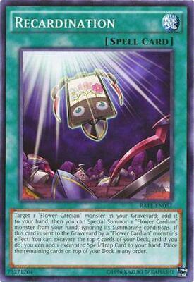 Recardination RATE-EN057