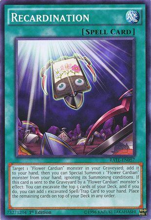 Recardination [1st Edition] RATE-EN057