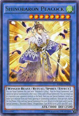 Shinobaron Peacock RATE-EN038