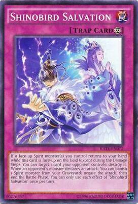 Shinobird Salvation RATE-EN072