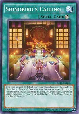Shinobird's Calling RATE-EN060