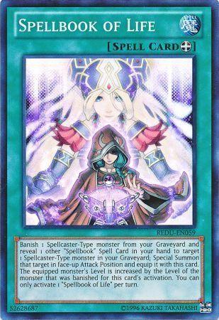 Spellbook of Life REDU-EN059