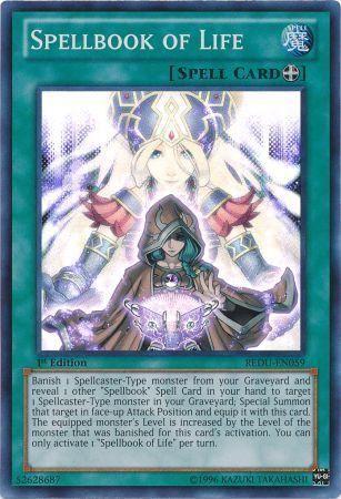 Spellbook of Life [1st Edition] REDU-EN059