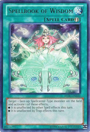 Spellbook of Wisdom REDU-EN060