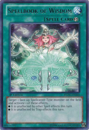 Spellbook of Wisdom [1st Edition] REDU-EN060