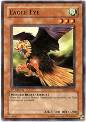 Eagle Eye [1st Edition] RDS-EN022
