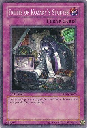 Fruits of Kozaky's Studies [1st Edition] RDS-EN053