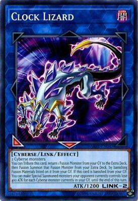 Clock Lizard SAST-EN047