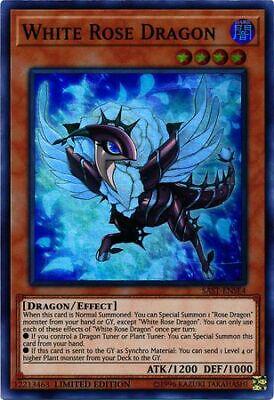 White Rose Dragon SAST-ENSE4