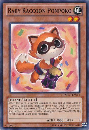 Baby Raccoon Ponpoko SHSP-EN014