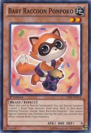 Baby Raccoon Ponpoko [1st Edition] SHSP-EN014