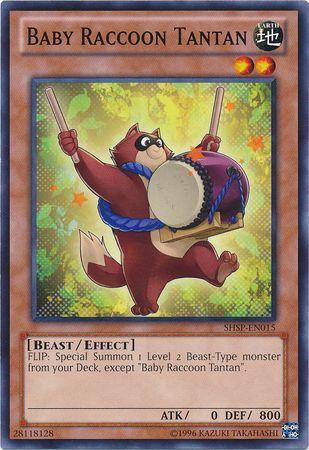 Baby Raccoon Tantan SHSP-EN015