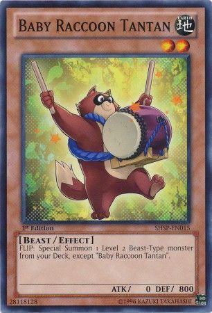 Baby Raccoon Tantan [1st Edition] SHSP-EN015