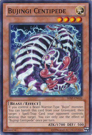 Bujingi Centipede SHSP-EN026