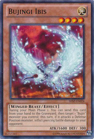 Bujingi Ibis SHSP-EN024