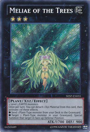Meliae of the Trees SHSP-EN055