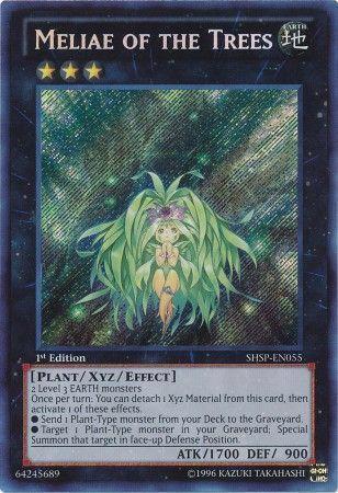 Meliae of the Trees [1st Edition] SHSP-EN055