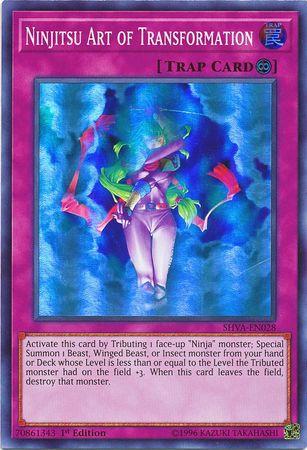 Ninjitsu Art of Transformation SHVA-EN028