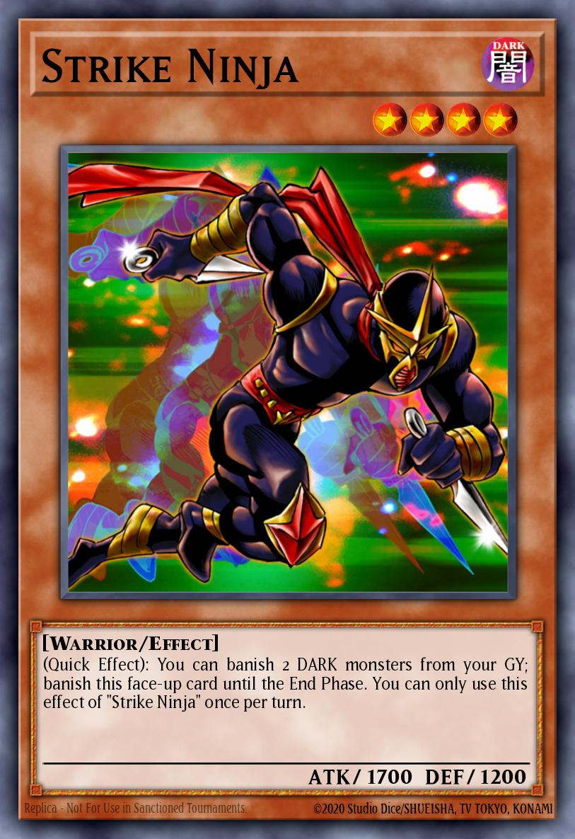 Strike Ninja SHVA-EN021