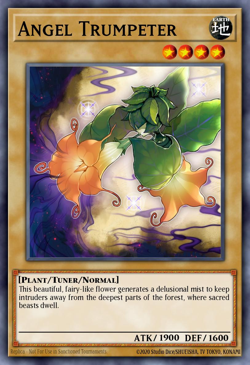 Angel Trumpeter SHVI-EN001