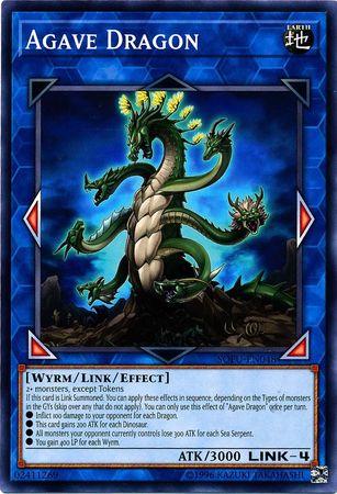 Agave Dragon SOFU-EN048