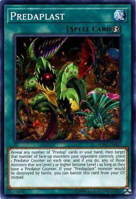 Predaplast SOFU-EN097