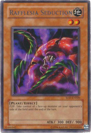 Rafflesia Seduction SOD-EN020