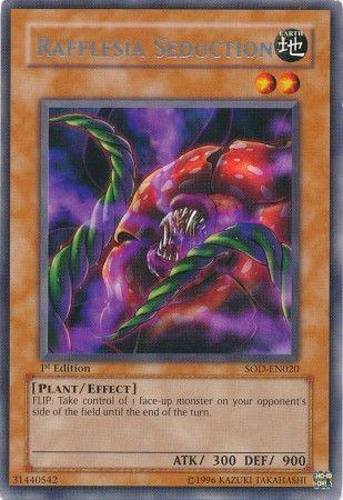 Rafflesia Seduction [1st Edition] SOD-EN020