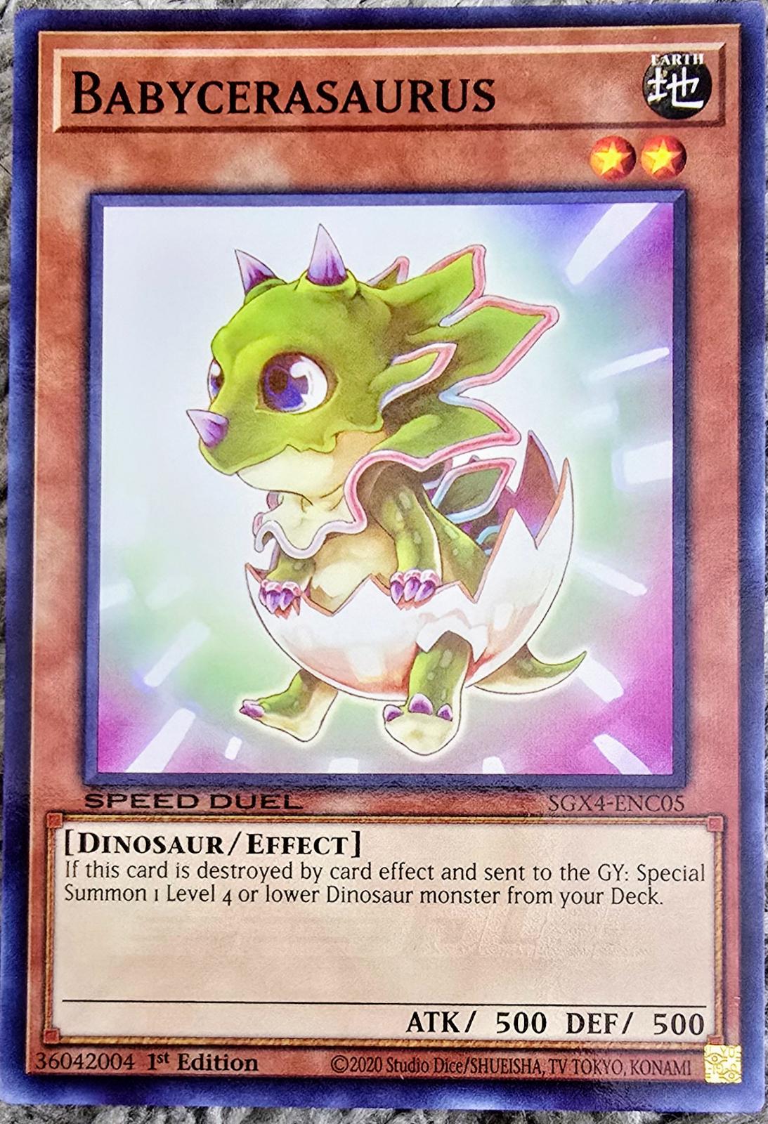 Babycerasaurus SGX4-ENC05