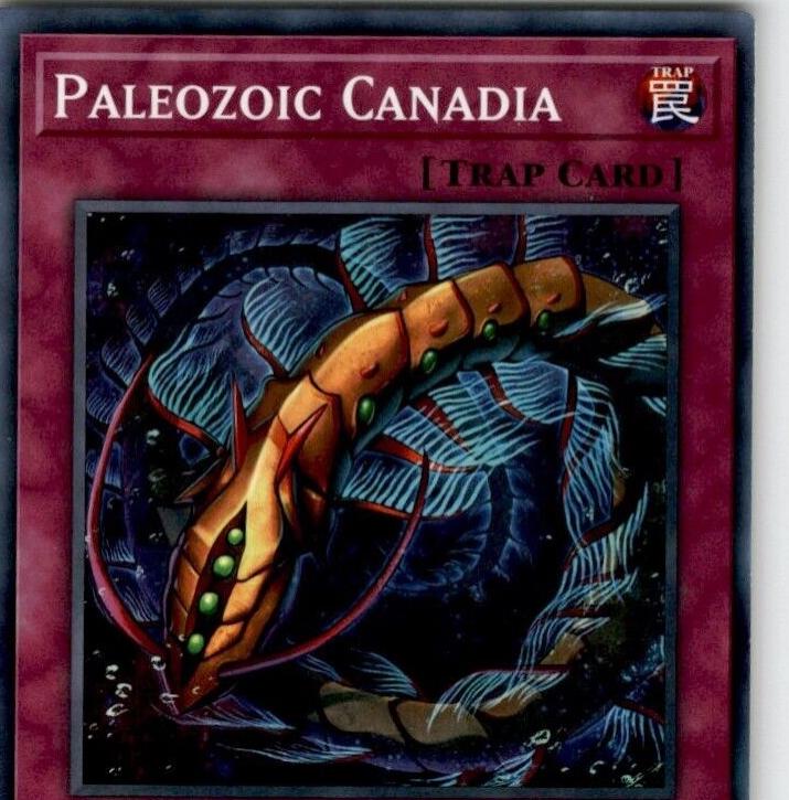 Paleozoic Canadia SGX4-ENC20
