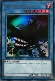 Fortress Whale STP2-EN006