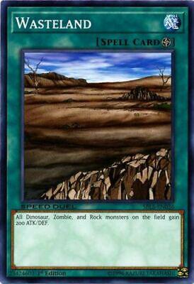 Wasteland SBLS-EN036