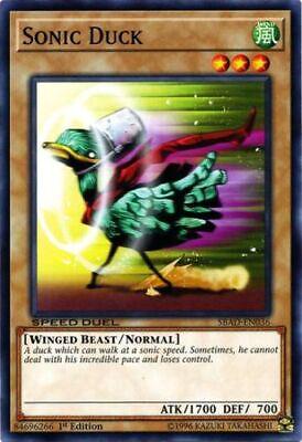 Sonic Duck SBAD-EN036