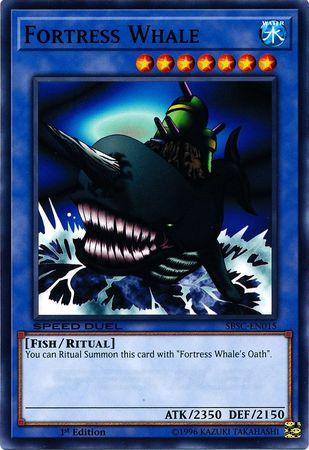 Fortress Whale SBSC-EN015