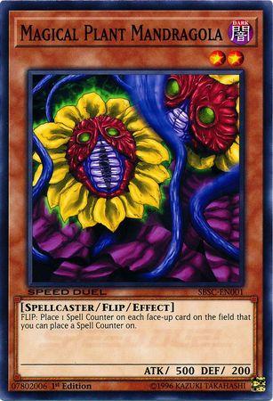 Magical Plant Mandragola SBSC-EN001