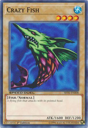 Crazy Fish SBTK-EN008