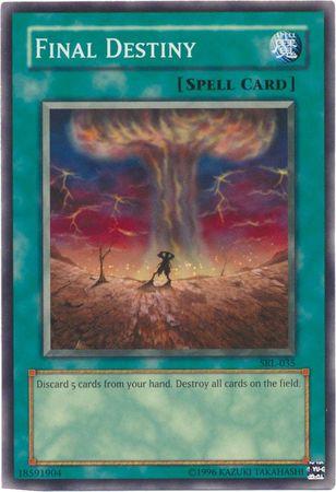 Final Destiny SRL-035