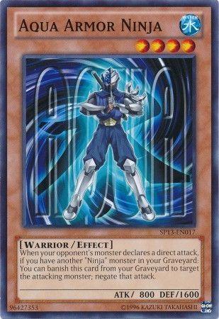 Aqua Armor Ninja SP13-EN017