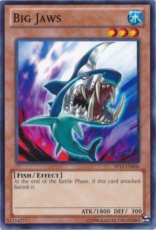 Big Jaws SP13-EN006