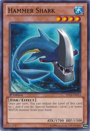 Hammer Shark SP14-EN013