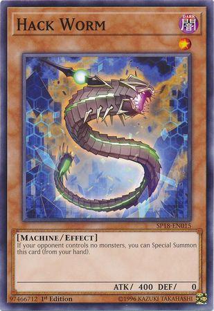 Hack Worm SP18-EN015