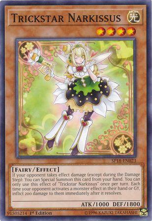 Trickstar Narkissus SP18-EN023