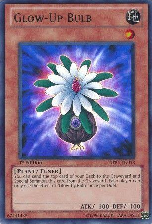Glow-Up Bulb [1st Edition] STBL-EN018