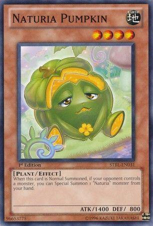 Naturia Pumpkin [1st Edition] STBL-EN031